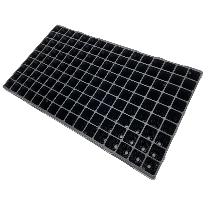 144 Square Cell Plug Tray