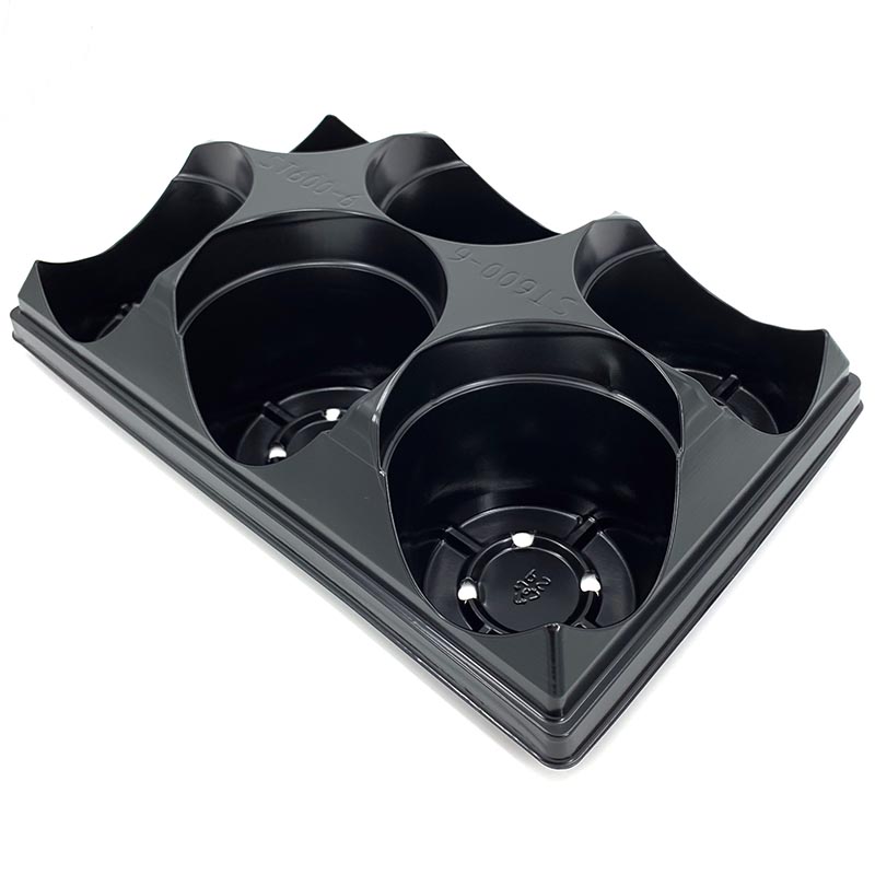 6 Count Tray for 6" Pot Round