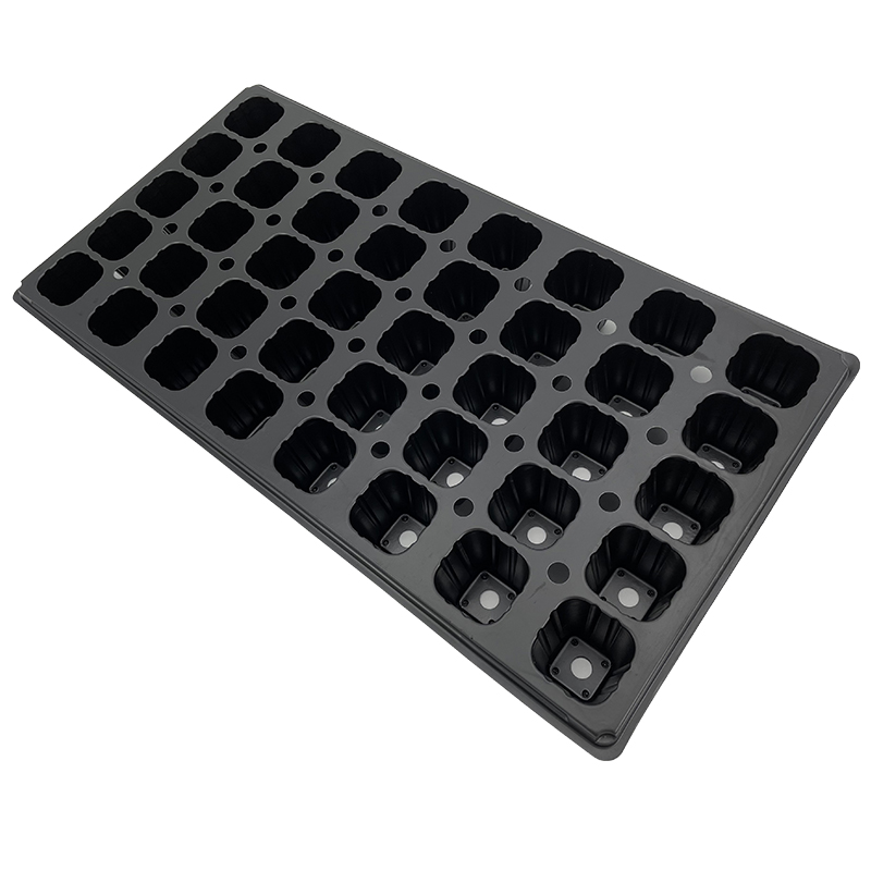 40 Square Cell Plug Tray