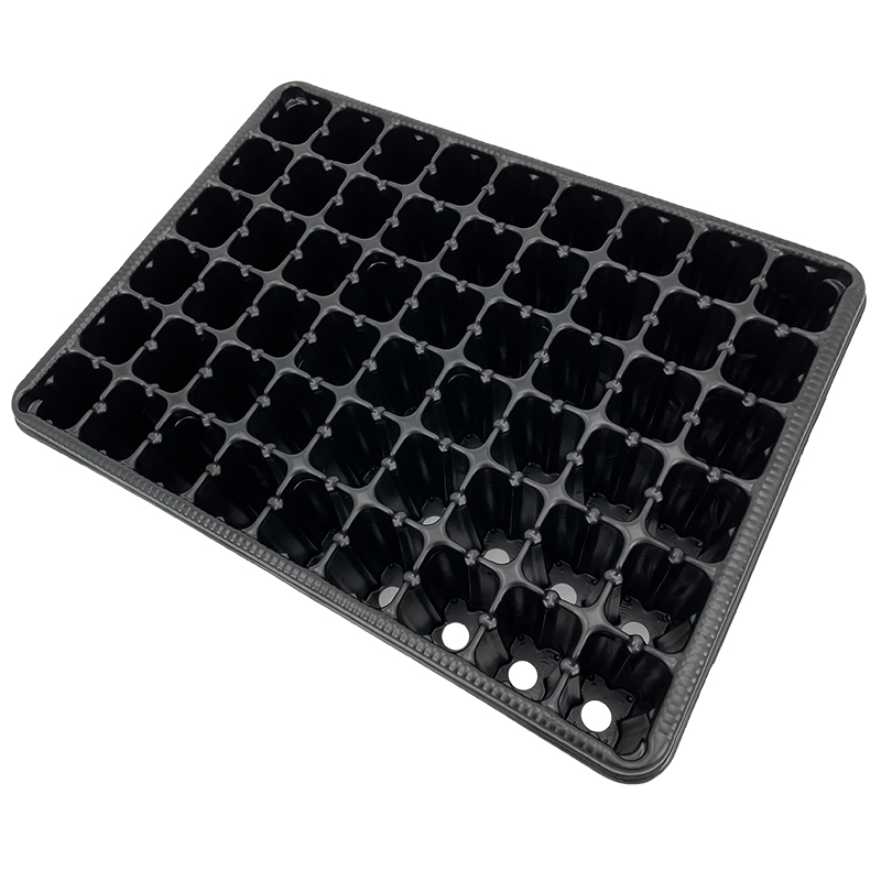 54 Square Cell Plug Tray