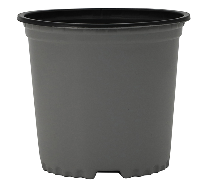 1 Gallon Nursery Container