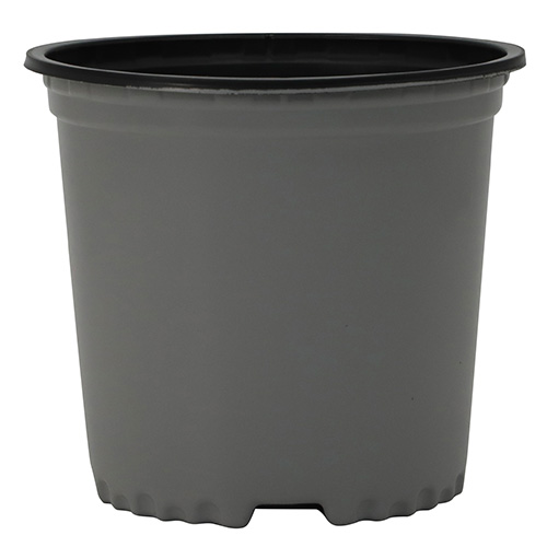 1 Gallon Nursery Container