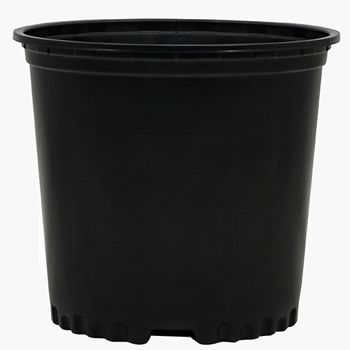 2 Gallon Nursery Container