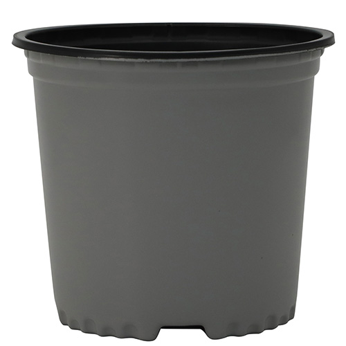 1 True Gallon Nursery Container