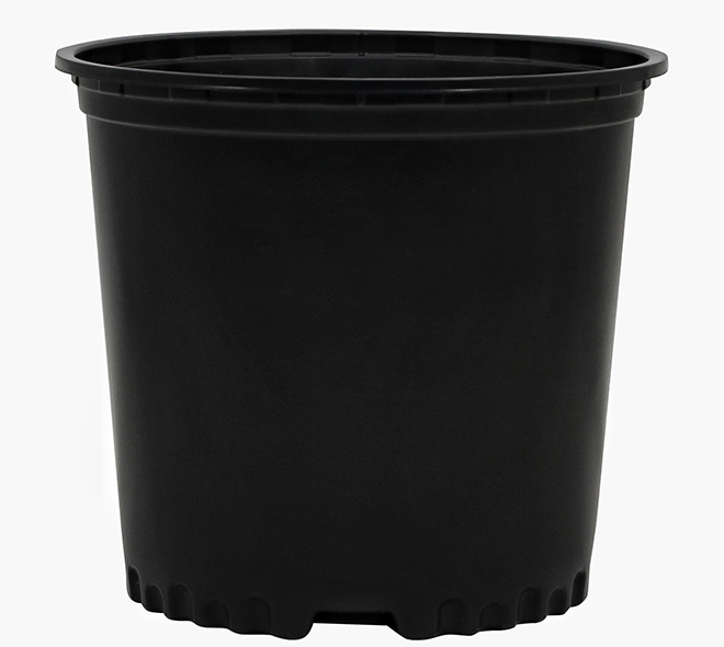 2 Gallon Nursery Container