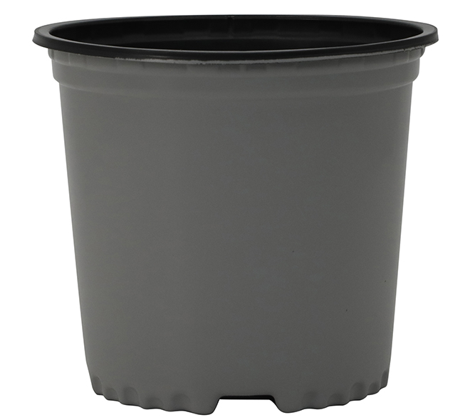 1 True Gallon Nursery Container