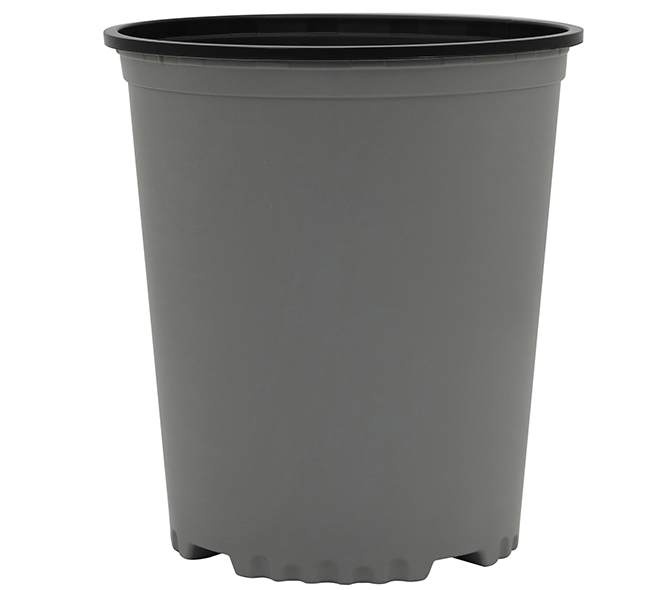 5 Gallon Nursery Container