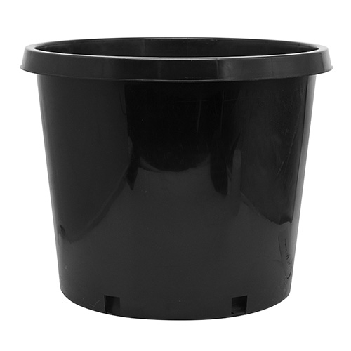 15 Gallon Nursery Pot Squat