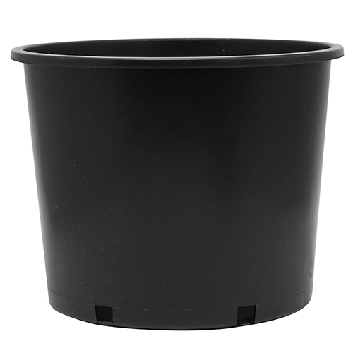 7 Gallon Nursery Pot Squat