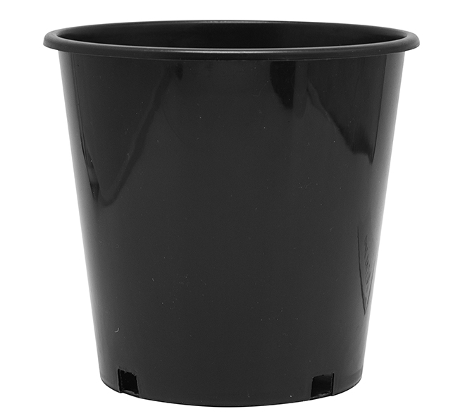 2 Gallon Nursery Pot 