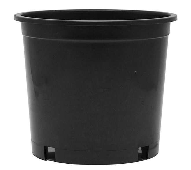 3 Gallon Nursery Pot 