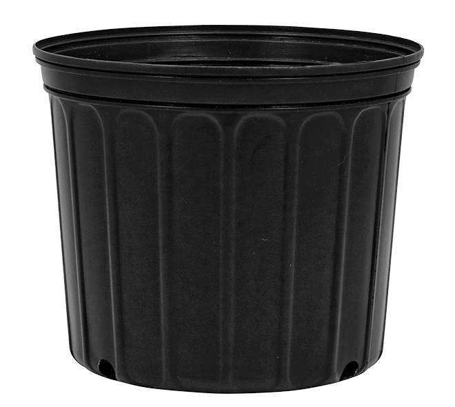 3 Gallon Nursery Pot 